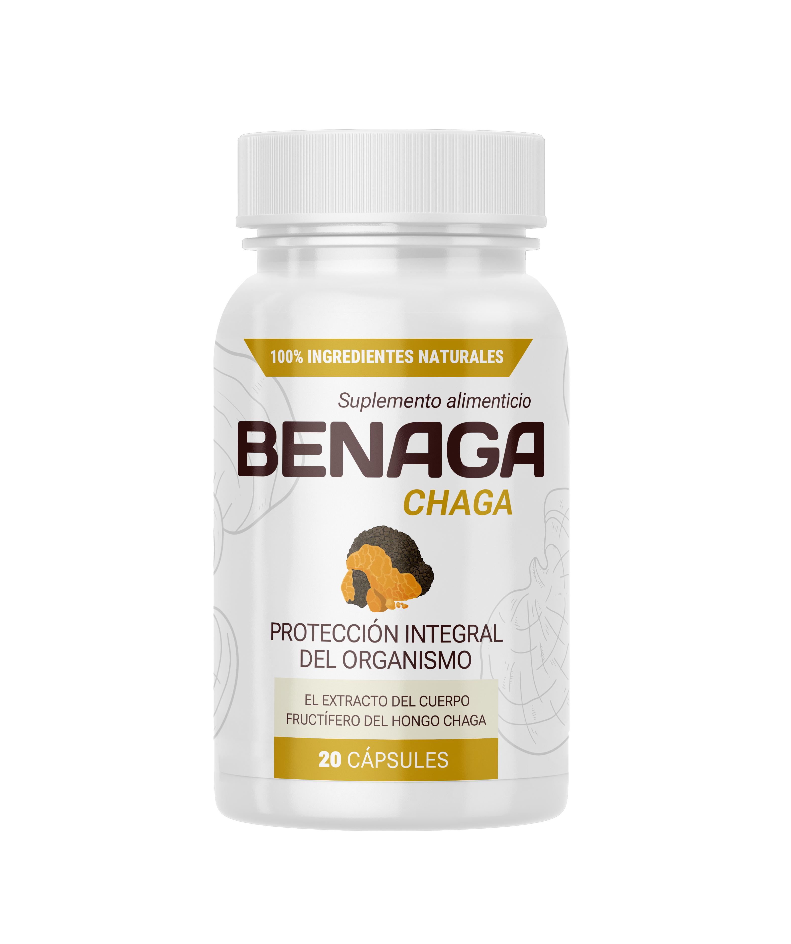 Benaga Chaga